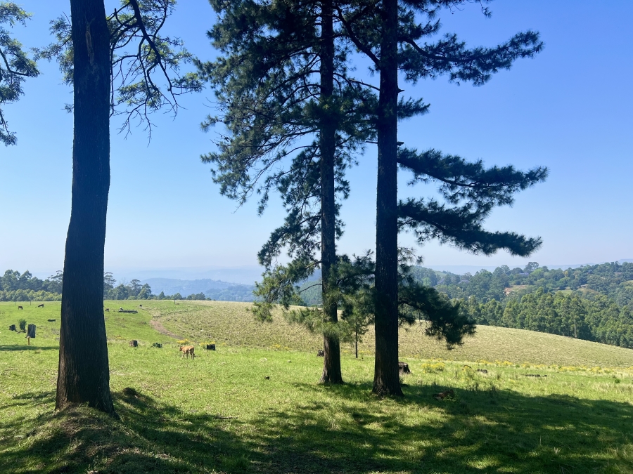 0 Bedroom Property for Sale in Winterskloof KwaZulu-Natal