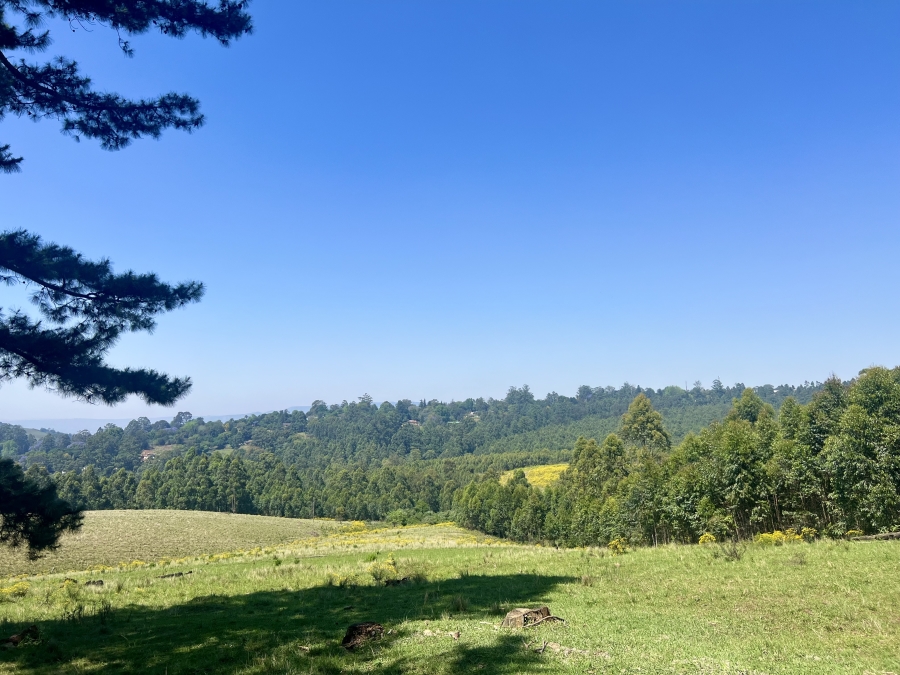 0 Bedroom Property for Sale in Winterskloof KwaZulu-Natal