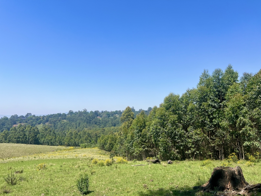 0 Bedroom Property for Sale in Winterskloof KwaZulu-Natal