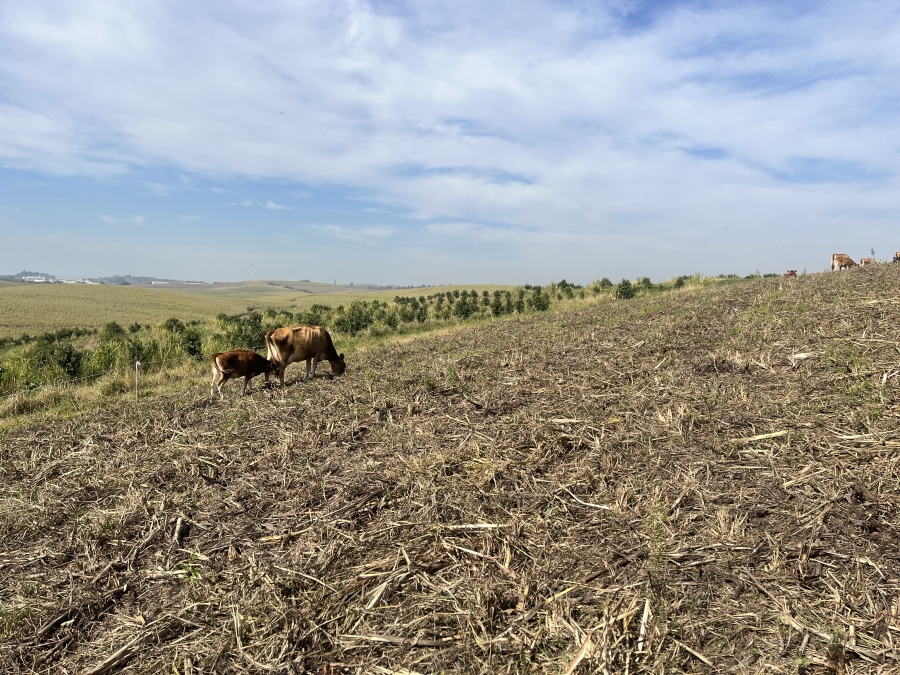 0 Bedroom Property for Sale in Fairview Estates KwaZulu-Natal