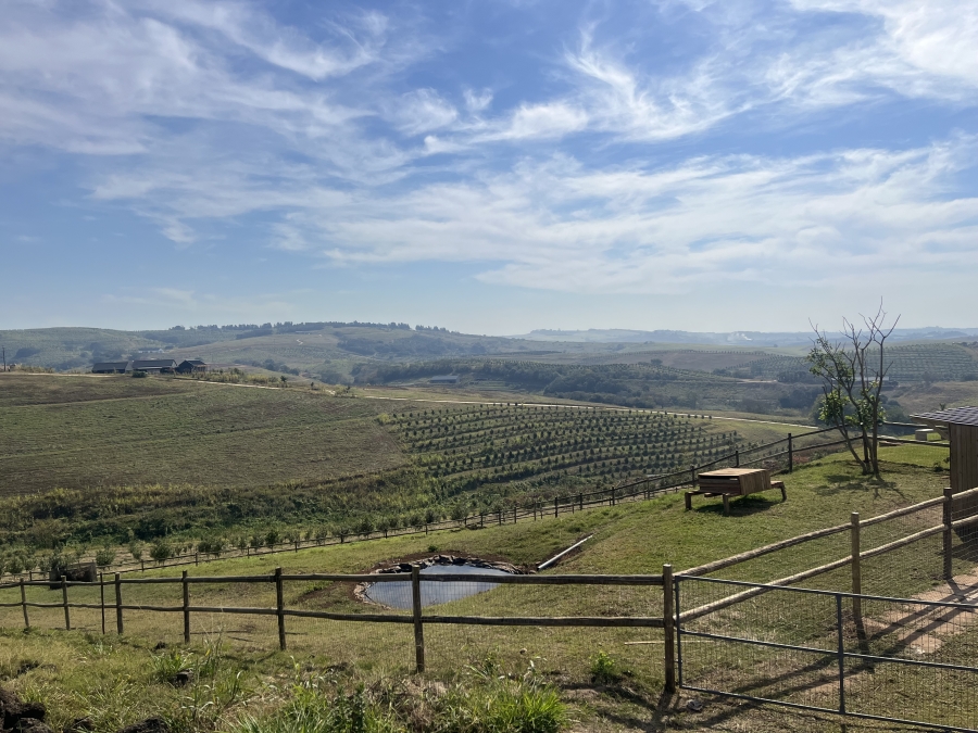 0 Bedroom Property for Sale in Fairview Estates KwaZulu-Natal