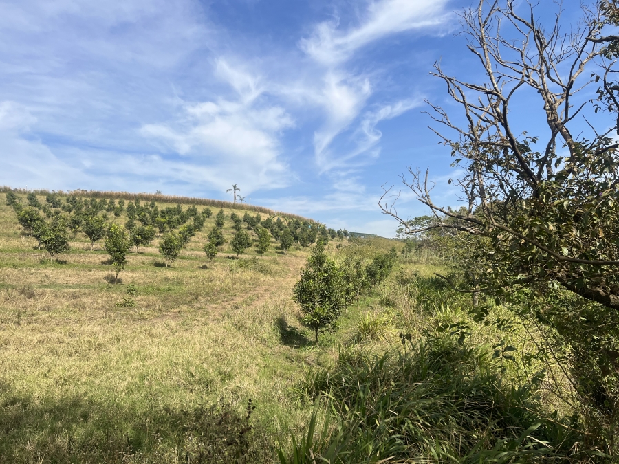 0 Bedroom Property for Sale in Fairview Estates KwaZulu-Natal