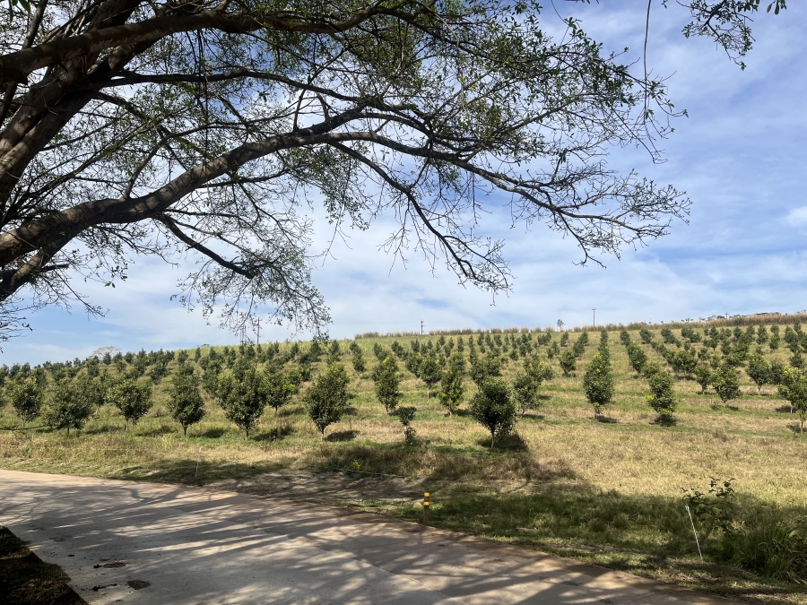 0 Bedroom Property for Sale in Fairview Estates KwaZulu-Natal