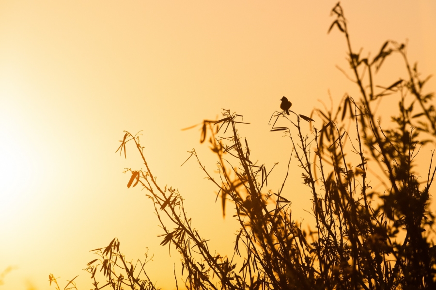 0 Bedroom Property for Sale in Lalela Estate KwaZulu-Natal