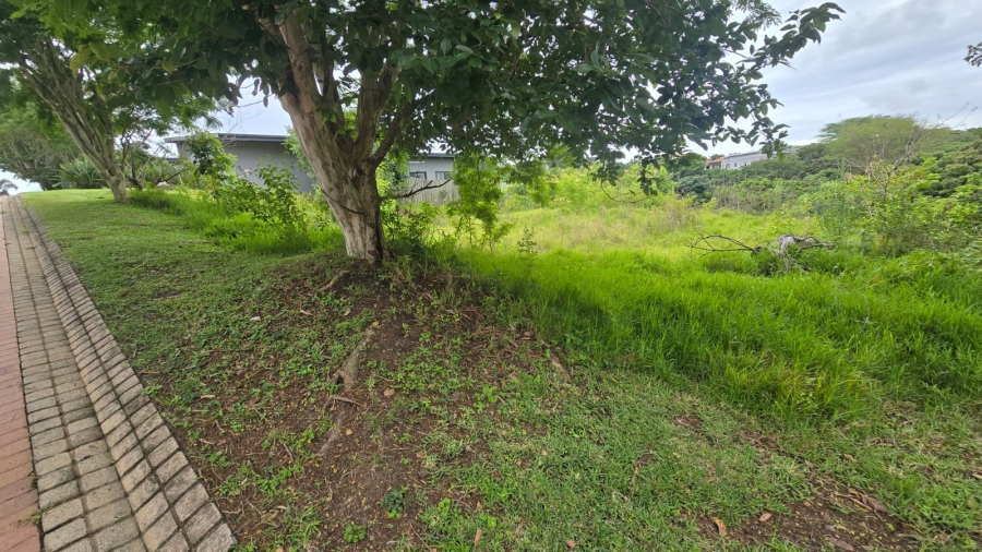 0 Bedroom Property for Sale in Palm Lakes Estate KwaZulu-Natal