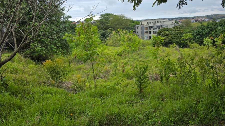 0 Bedroom Property for Sale in Palm Lakes Estate KwaZulu-Natal