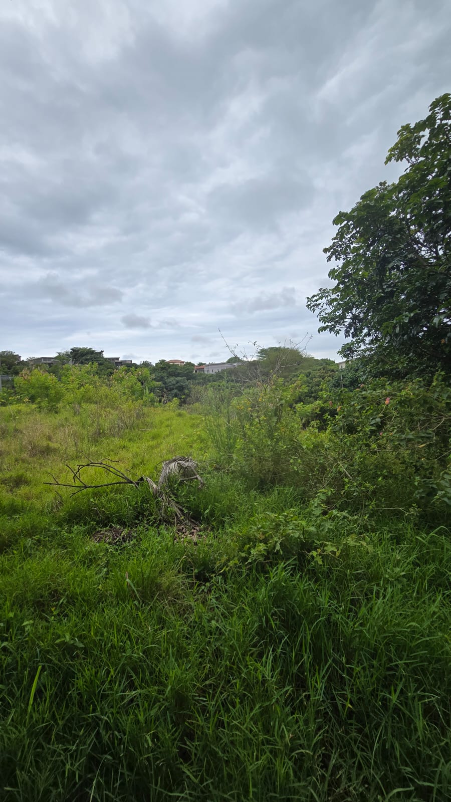 0 Bedroom Property for Sale in Palm Lakes Estate KwaZulu-Natal