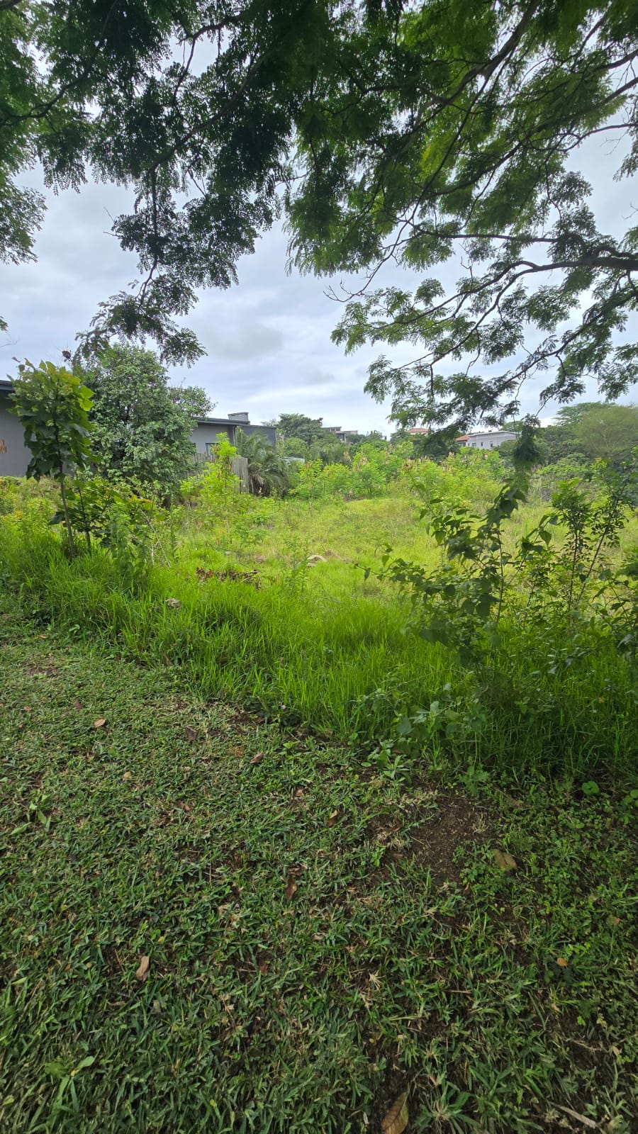 0 Bedroom Property for Sale in Palm Lakes Estate KwaZulu-Natal