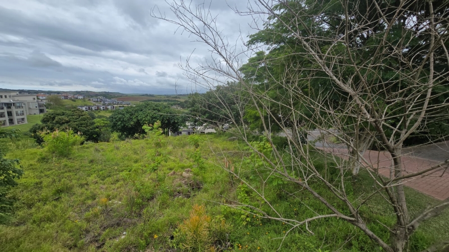 0 Bedroom Property for Sale in Palm Lakes Estate KwaZulu-Natal