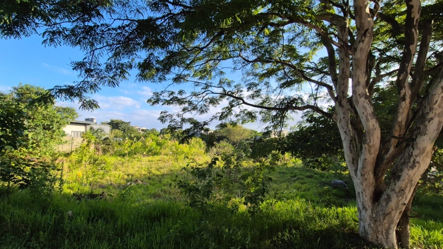 0 Bedroom Property for Sale in Palm Lakes Estate KwaZulu-Natal