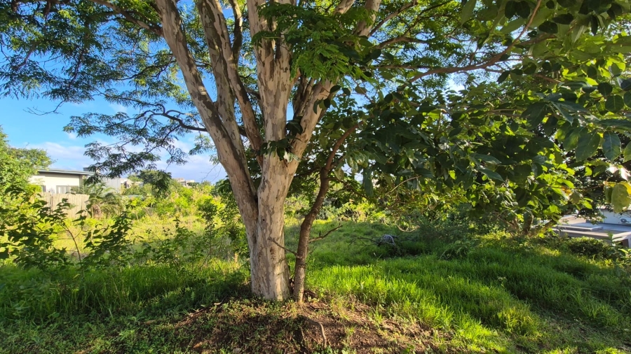 0 Bedroom Property for Sale in Palm Lakes Estate KwaZulu-Natal