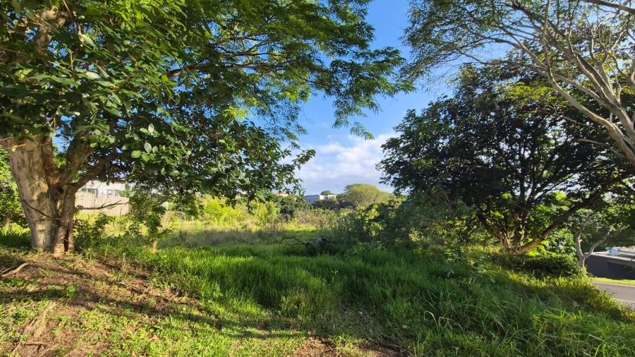 0 Bedroom Property for Sale in Palm Lakes Estate KwaZulu-Natal