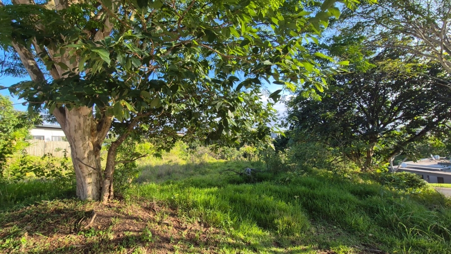 0 Bedroom Property for Sale in Palm Lakes Estate KwaZulu-Natal