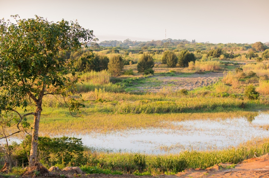 0 Bedroom Property for Sale in Lalela Estate KwaZulu-Natal