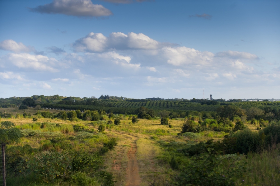 0 Bedroom Property for Sale in Lalela Estate KwaZulu-Natal