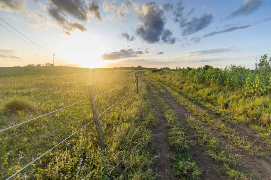 0 Bedroom Property for Sale in Lalela Estate KwaZulu-Natal