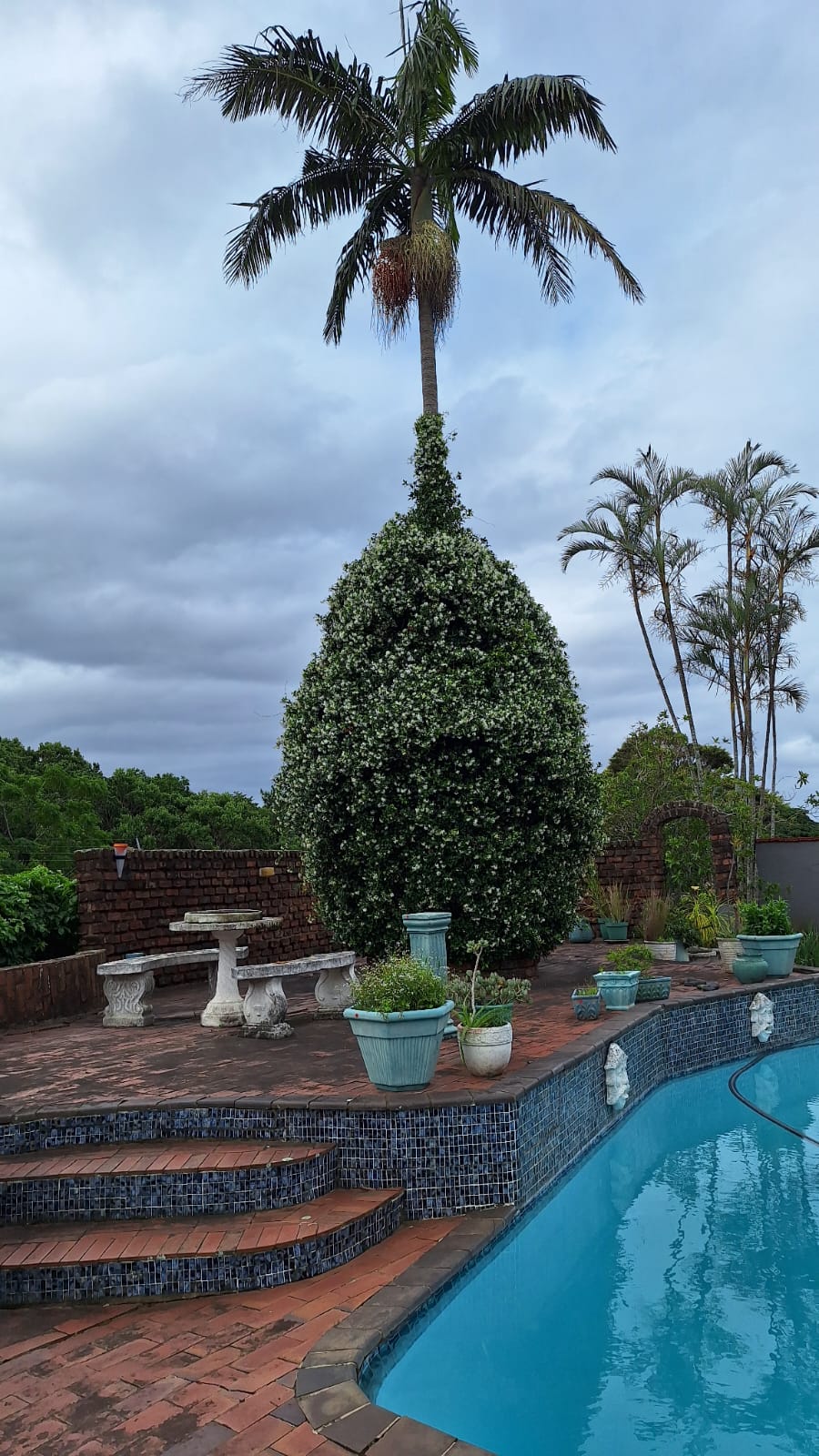 5 Bedroom Property for Sale in Uvongo KwaZulu-Natal