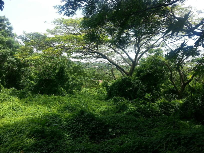 0 Bedroom Property for Sale in Astra Park KwaZulu-Natal