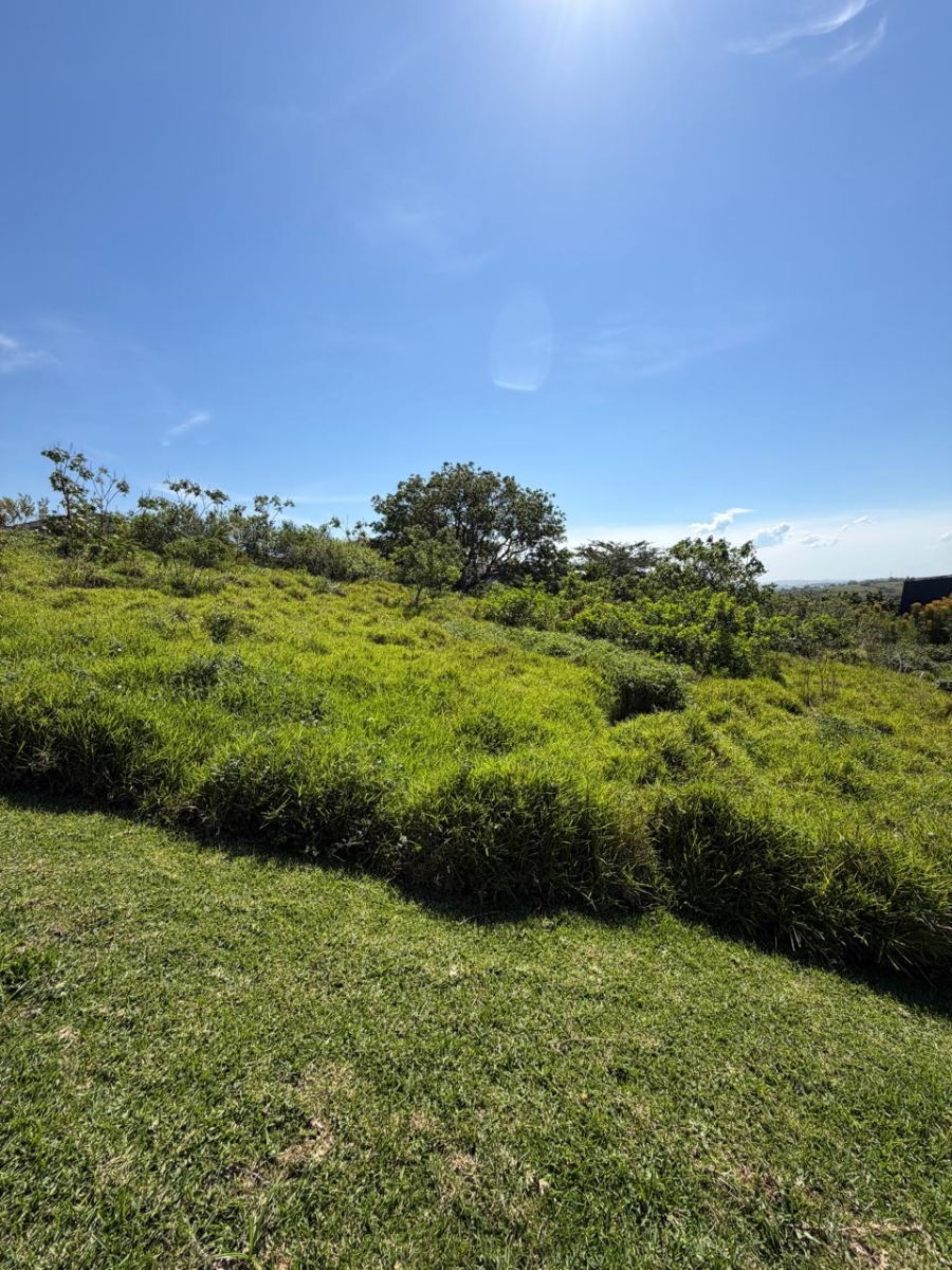 0 Bedroom Property for Sale in Palm Lakes Estate KwaZulu-Natal