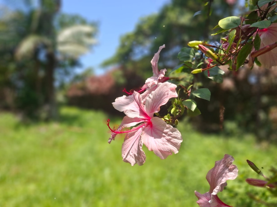 0 Bedroom Property for Sale in Tugela Mouth KwaZulu-Natal