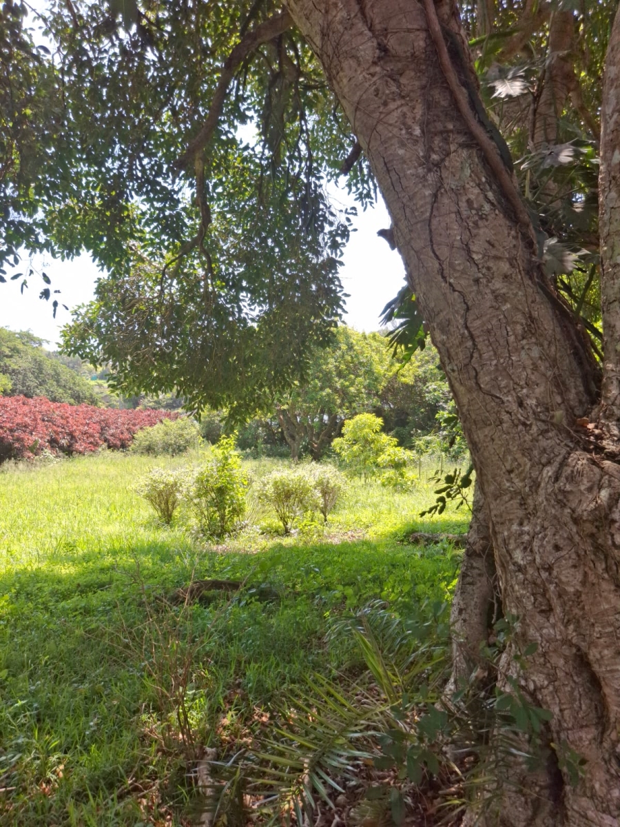 0 Bedroom Property for Sale in Tugela Mouth KwaZulu-Natal