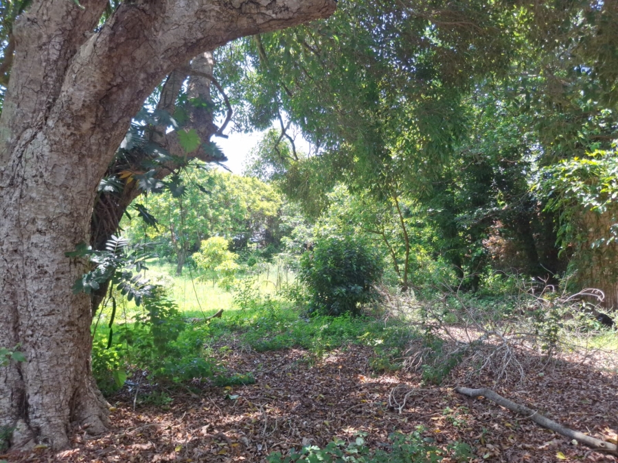 0 Bedroom Property for Sale in Tugela Mouth KwaZulu-Natal