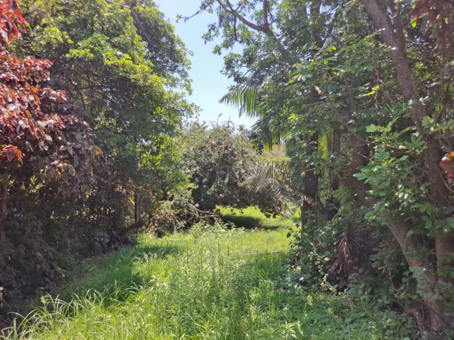 0 Bedroom Property for Sale in Tugela Mouth KwaZulu-Natal