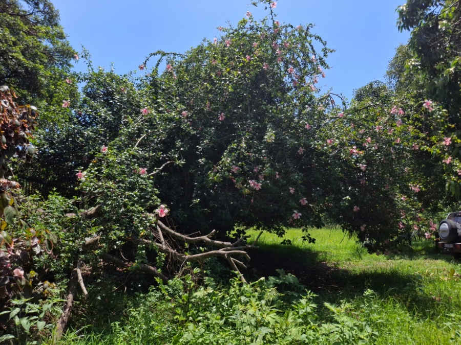 0 Bedroom Property for Sale in Tugela Mouth KwaZulu-Natal