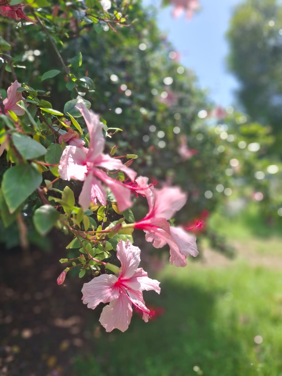 0 Bedroom Property for Sale in Tugela Mouth KwaZulu-Natal