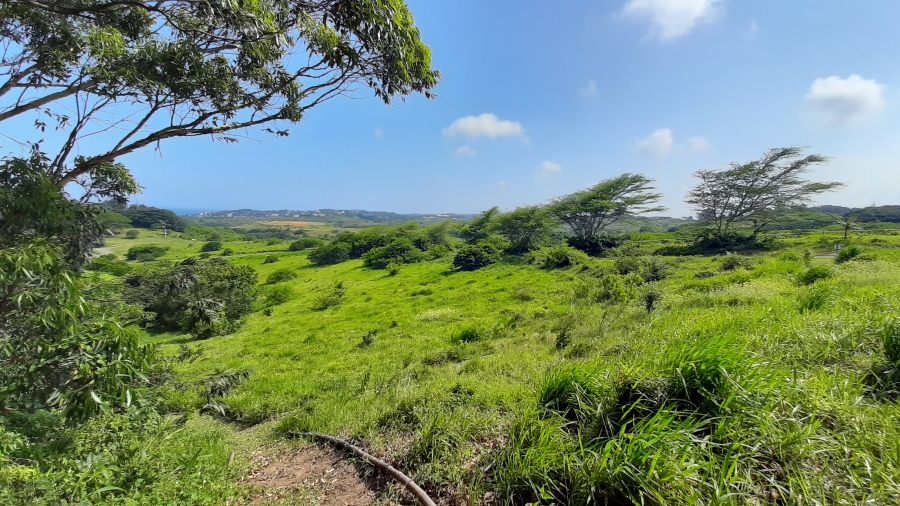 0 Bedroom Property for Sale in New Salt Rock City KwaZulu-Natal