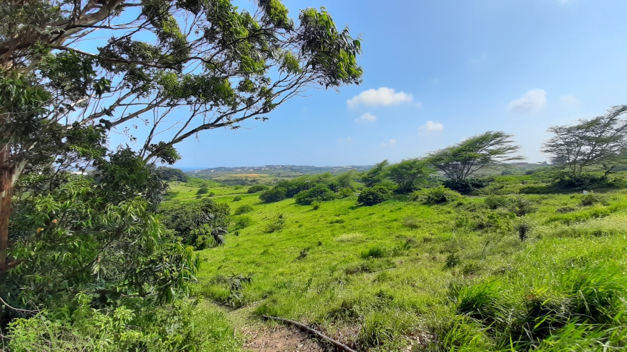 0 Bedroom Property for Sale in New Salt Rock City KwaZulu-Natal