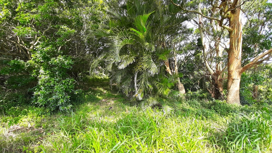 0 Bedroom Property for Sale in New Salt Rock City KwaZulu-Natal