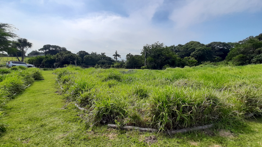 0 Bedroom Property for Sale in New Salt Rock City KwaZulu-Natal