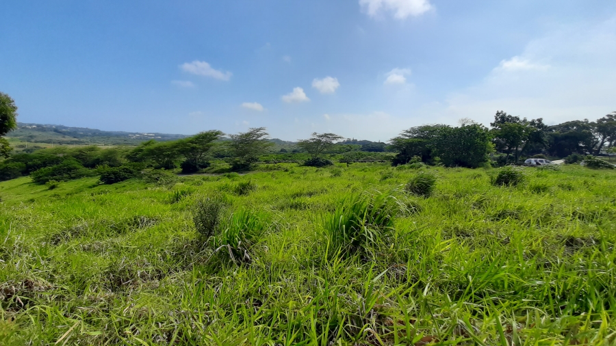 0 Bedroom Property for Sale in New Salt Rock City KwaZulu-Natal