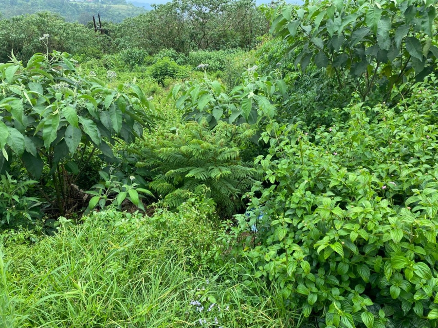 0 Bedroom Property for Sale in Signal Hill KwaZulu-Natal