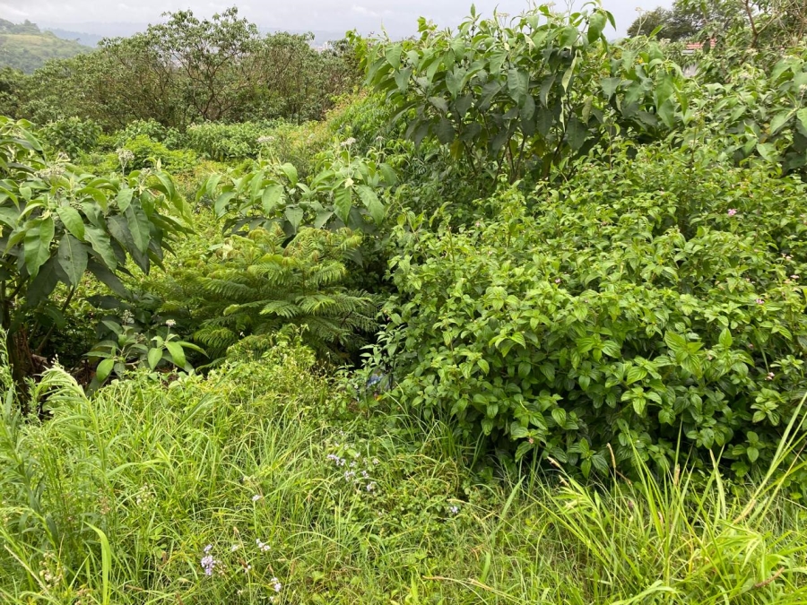 0 Bedroom Property for Sale in Signal Hill KwaZulu-Natal