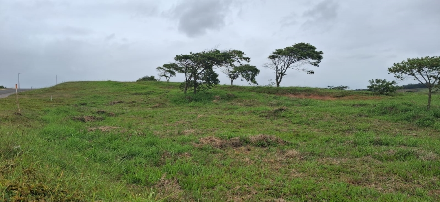 0 Bedroom Property for Sale in Zimbali Lakes Resort KwaZulu-Natal