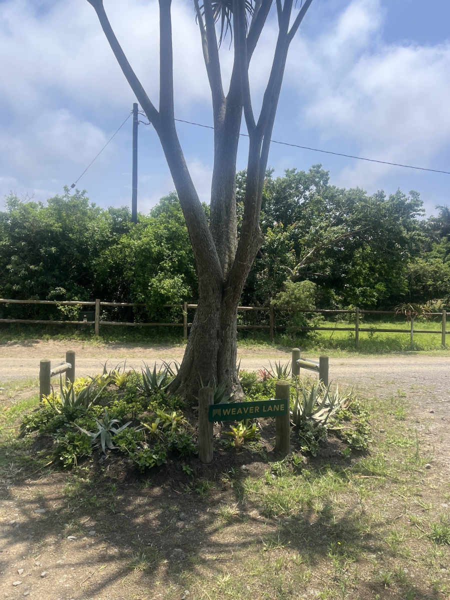 0 Bedroom Property for Sale in Ballito Central KwaZulu-Natal