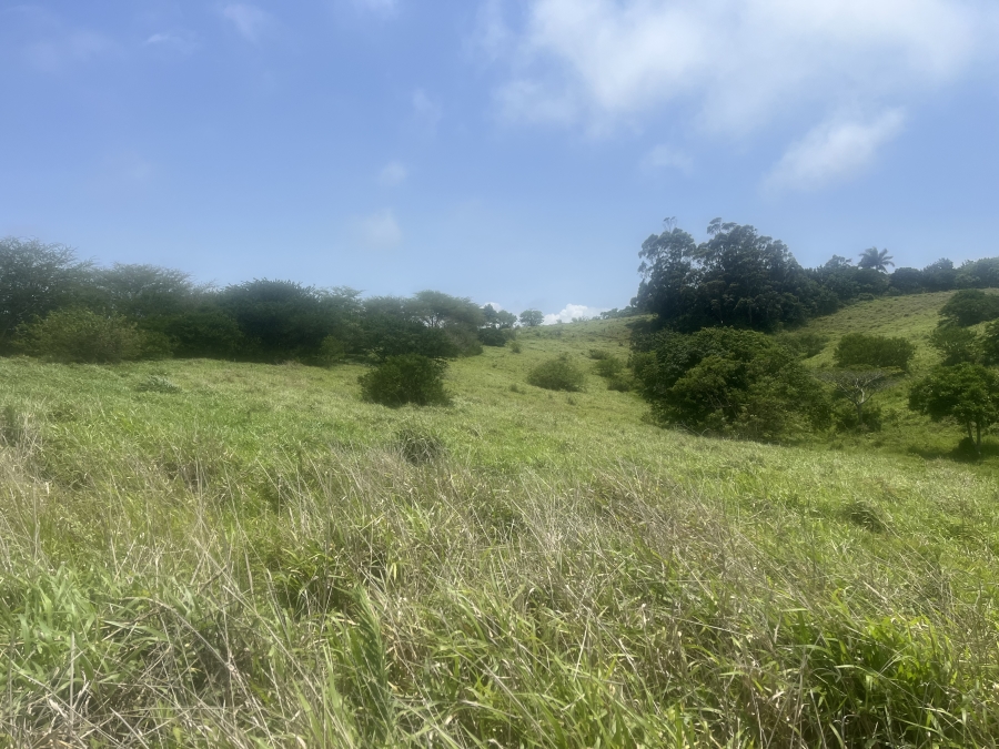 0 Bedroom Property for Sale in Ballito Central KwaZulu-Natal