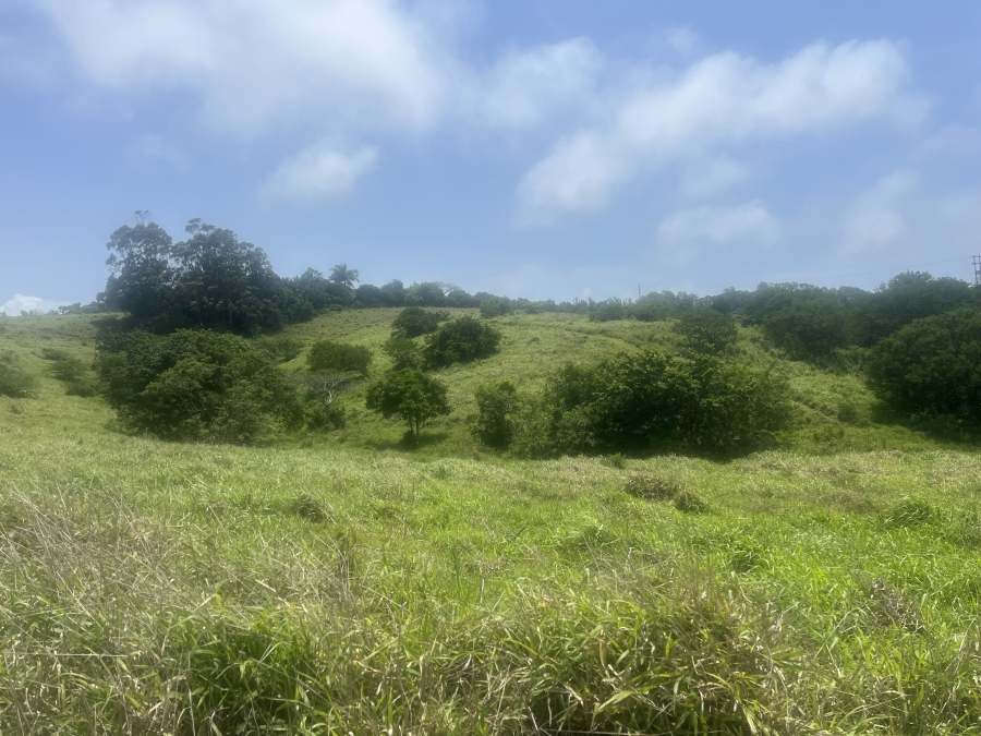 0 Bedroom Property for Sale in Ballito Central KwaZulu-Natal