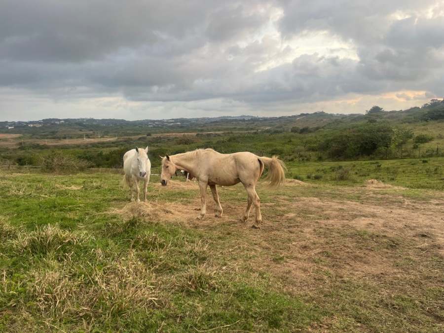 0 Bedroom Property for Sale in Ballito Central KwaZulu-Natal