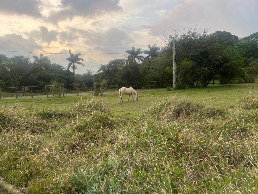 0 Bedroom Property for Sale in Ballito Central KwaZulu-Natal