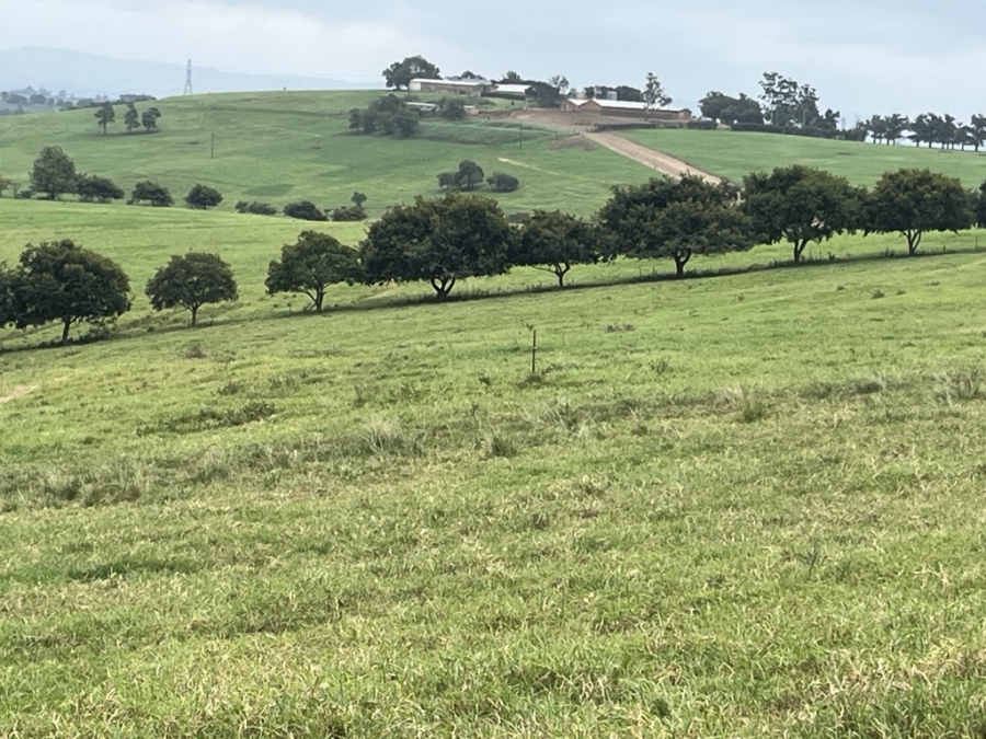 5 Bedroom Property for Sale in Bisley KwaZulu-Natal