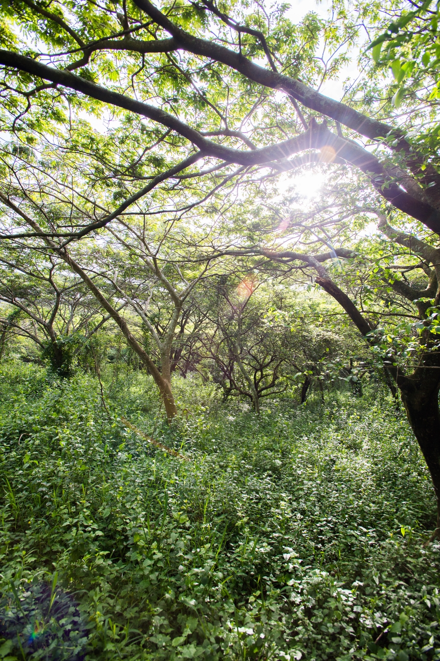 3 Bedroom Property for Sale in Zululami Coastal Estate KwaZulu-Natal