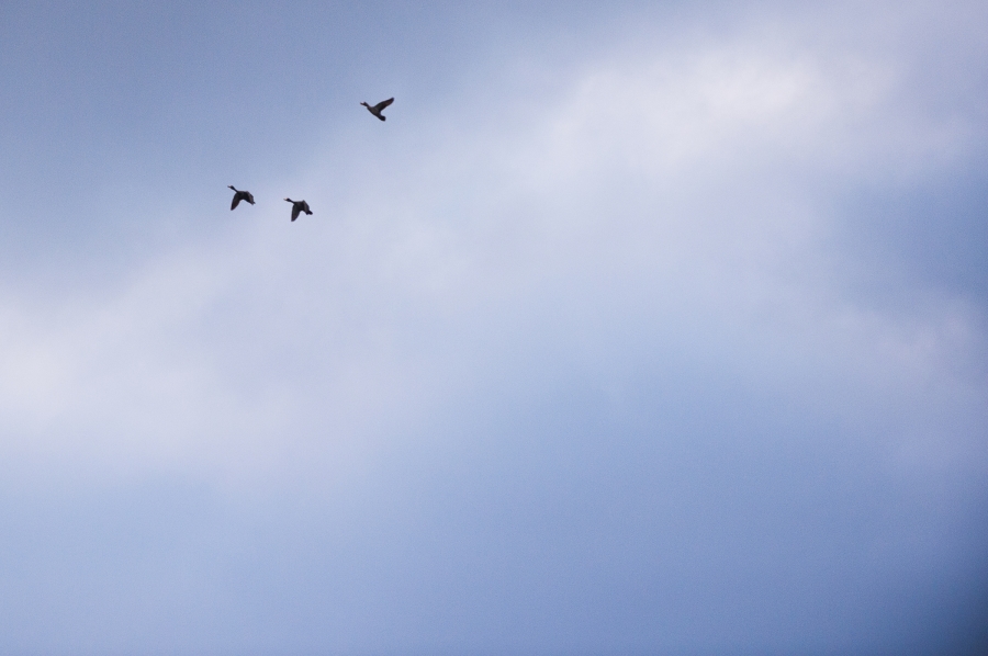 3 Bedroom Property for Sale in Zululami Coastal Estate KwaZulu-Natal