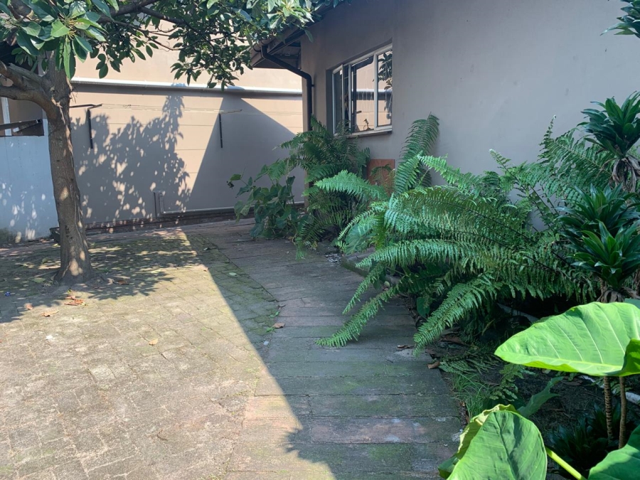 To Let 4 Bedroom Property for Rent in Arboretum KwaZulu-Natal