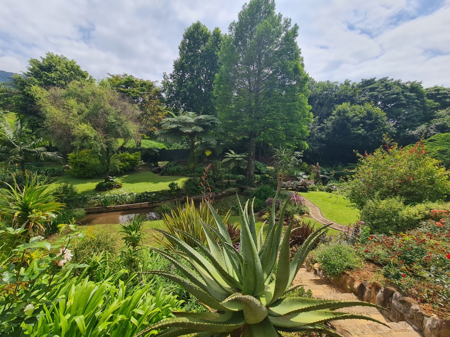 4 Bedroom Property for Sale in Oak Park KwaZulu-Natal