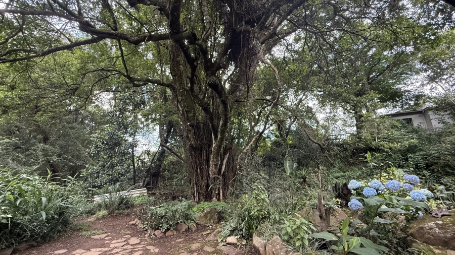 3 Bedroom Property for Sale in Boughton KwaZulu-Natal