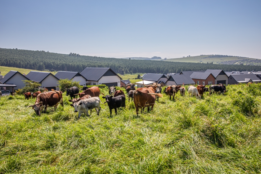 0 Bedroom Property for Sale in St Johns Village KwaZulu-Natal