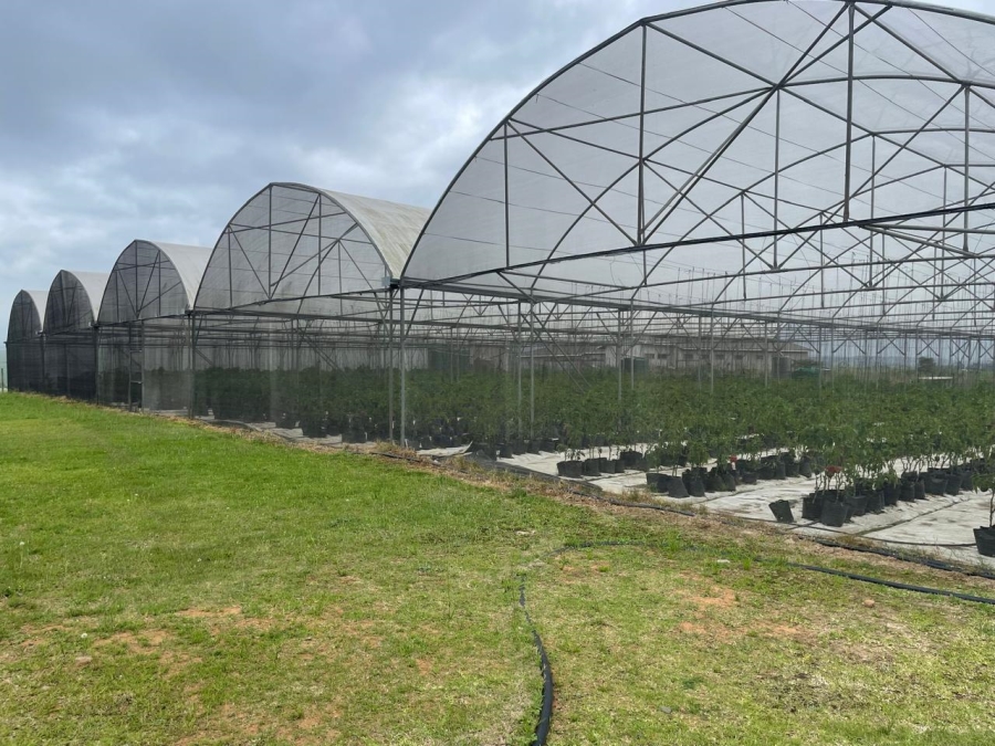 0 Bedroom Property for Sale in Fraser KwaZulu-Natal